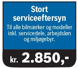Stort Service Logo